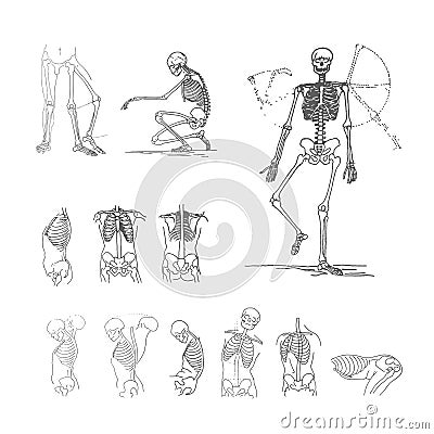 Vector illustration concept of skeleton. Black on white background Vector Illustration