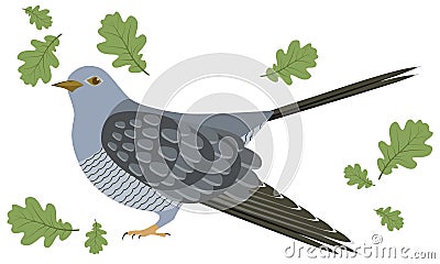 Vector Illustration of a cuckoo Vector Illustration