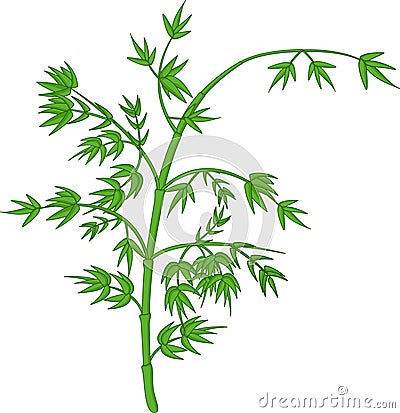 Cute bamboo tree cartoon on white background Cartoon Illustration