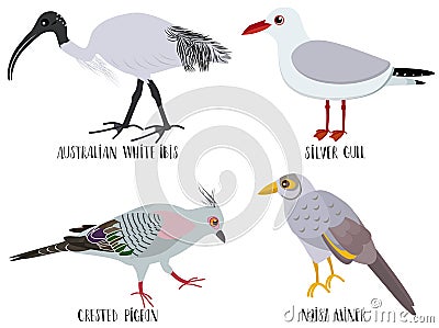 Vector illustration of cute bird cartoons - Australian Cartoon Illustration
