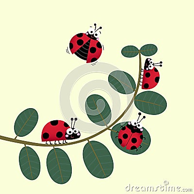 Cute ladybirds or ladybugs walking on the stem of a plant Vector Illustration