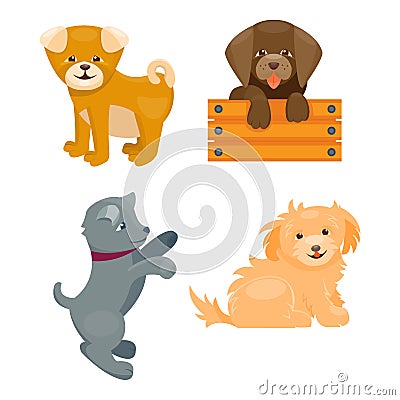 Vector illustration cute playing dogs characters funny purebred puppy comic happy mammal breed Vector Illustration