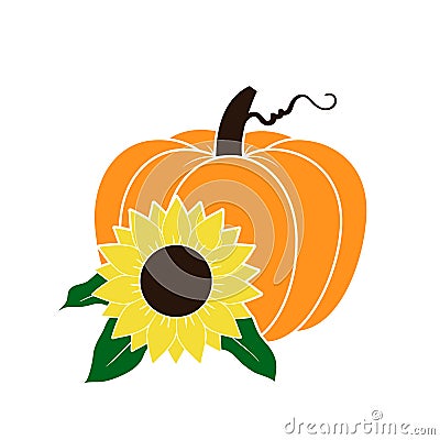 Vector illustration of cute pumpkin or cucurbita with sunflower Vector Illustration