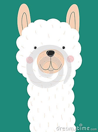 Vector illustration of cute white face llama or alpaca on a green background. Image on South American theme for children, cards, i Cartoon Illustration