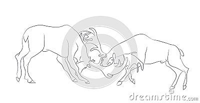 Vector illustration of a deer fighting, drawing by lines Vector Illustration