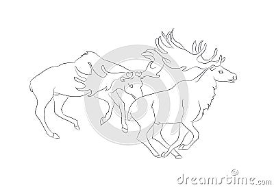 Vector illustration of a deer fighting, drawing by lines Vector Illustration