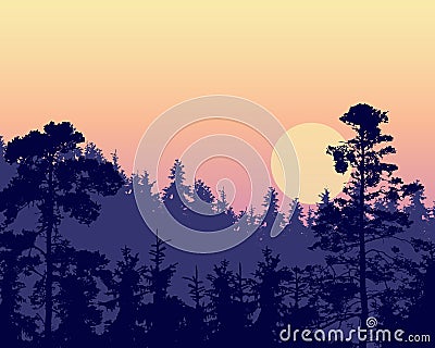 Vector illustration of a dense coniferous forest on a hill under Vector Illustration