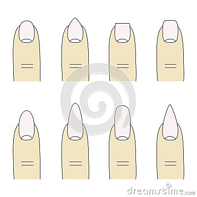 Vector illustration, different forms, shapes of nails. Manicure. Vector Illustration