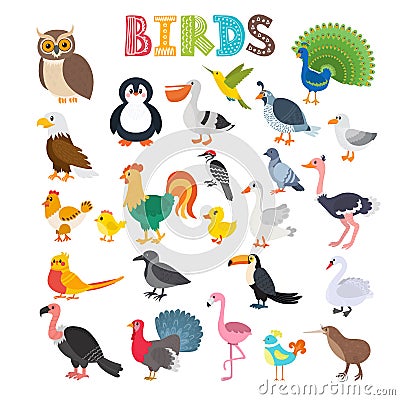 Vector illustration of different kind of birds. Cute cartoon birds Vector Illustration