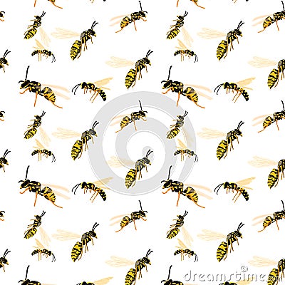 Different types of bees in different positions as a seamless pattern on a white background Vector Illustration
