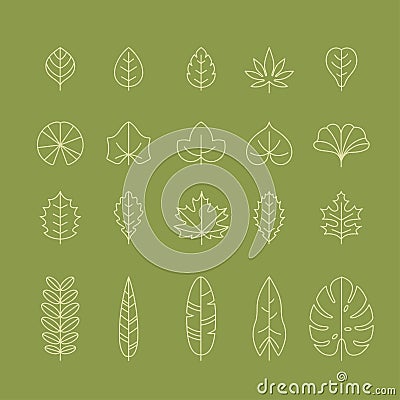 Different types of leaf outline icon set. Foliage thin simple outline Vector Illustration