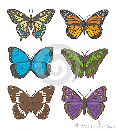 Vector illustration drawings of different butterflies, including `White Admiral`, `Old World Swallowtail`, `Monarch Butterfly`, Cartoon Illustration
