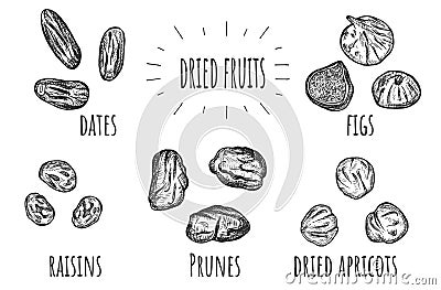 Dried fruits dessert lettering set Vector Illustration