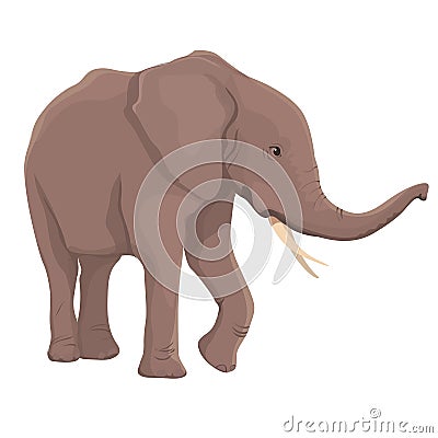 Vector Illustration Elephant Isolated Vector Illustration