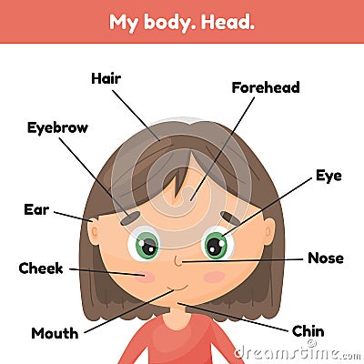 Face little cute girl. Poster head parts for leaning anatomy for kids Cartoon Illustration
