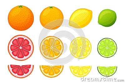 Vector illustration set of citrus fruits Vector Illustration