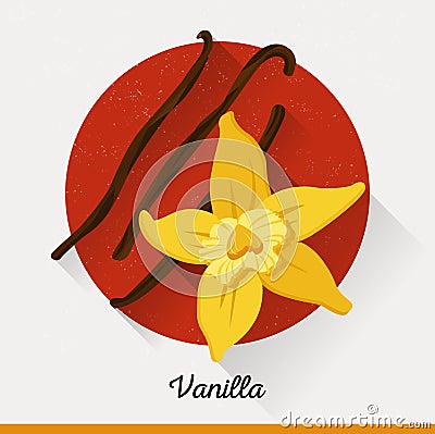 Vector illustration in flat style. Vanilla spice Vector Illustration