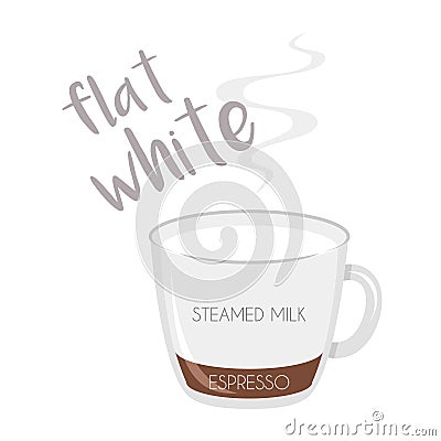 Vector illustration of a Flat White coffee cup icon with its preparation and proportions Vector Illustration