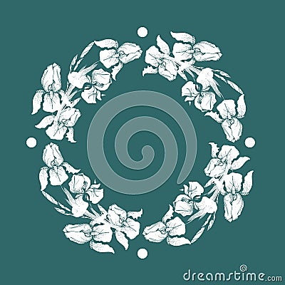Vector illustration - floral frame with white iris flowers Cartoon Illustration