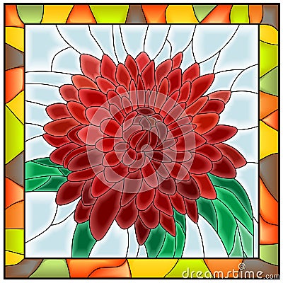 Vector illustration of flower chrysanthemum. Vector Illustration