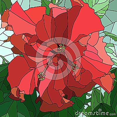 Vector illustration of flower hibiscus (Chinese rose). Vector Illustration