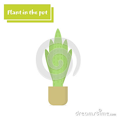 Vector illustration flower, plant growing in a pot. Potted plant icon. Little plant seedling. Vector Illustration