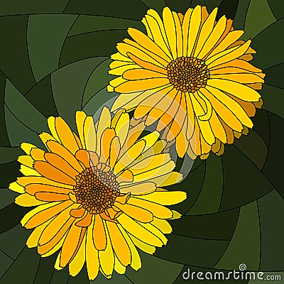 Vector illustration of flower yellow calendula. Vector Illustration