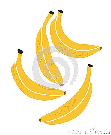 Vector illustration of four bananas on a white background. Vector Illustration