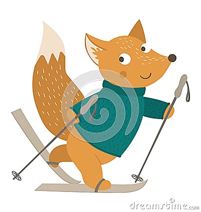 Vector illustration of fox in clothes skiing. Vector Illustration