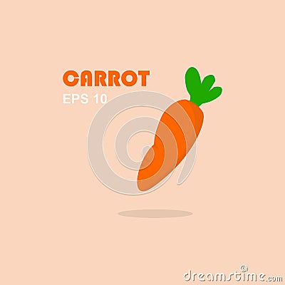 Vector illustration of fresh carrot vegetables. directly pick from the garden Vector Illustration