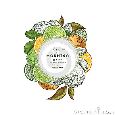 Fresh citrus design round template. Engraved style illustration. Organic fruits. Vector illustration Vector Illustration