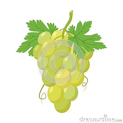 Vector illustration of a funny bunch of green grapes in cartoon style Vector Illustration