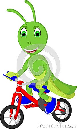 Funny grasshopper cartoon riding bycycle with laughing Cartoon Illustration