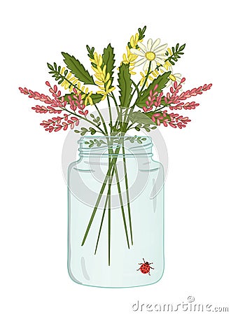 Vector illustration of glass jar with bouquet of wild flowers Vector Illustration