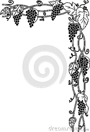 Grape Vines Illustration Vector Illustration