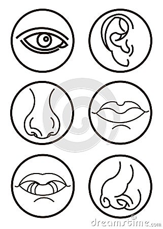 vector illustration graphic human symbol Vector Illustration