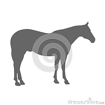 Gray horse silhouette Vector Illustration