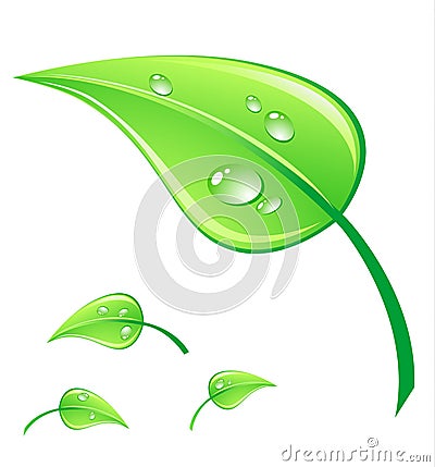 Vector illustration green leaf Vector Illustration