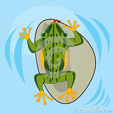 Reptile amphibious frog in water type overhand Vector Illustration