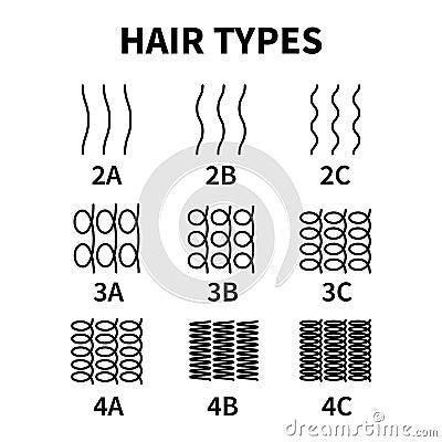 Vector illustration of hair types chart with all curl types, labeled. Curly girl method concept. Waves, coils and kinky Vector Illustration