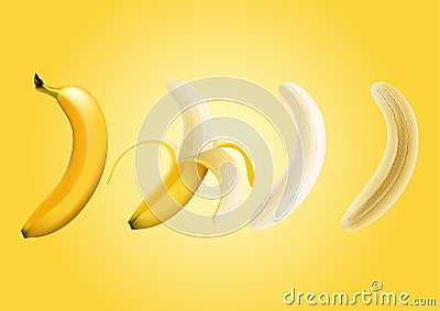 Vector illustration of half peeled banana and a piece of banana , slice banana , transparent Vector Illustration