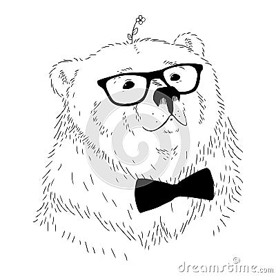 Vector illustration hand drawn bear head. Vector Illustration