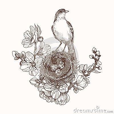 Vector illustration of hand drawn nest with spotted eggs and bird on blooming brunch. Graphic style, beautiful Vector Illustration