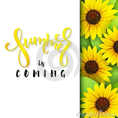 Vector illustration of hand lettering poster - summer is coming with paper sheet on a background of blooming sunflower Vector Illustration