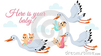 Vector illustration of happy flying storks with newborn babys. Stork birds carrying babyboy and babygirl in bags in Vector Illustration