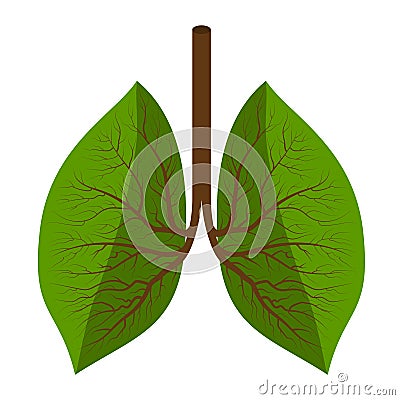 Vector illustration of healthy lungs consisting of green leaves Vector Illustration