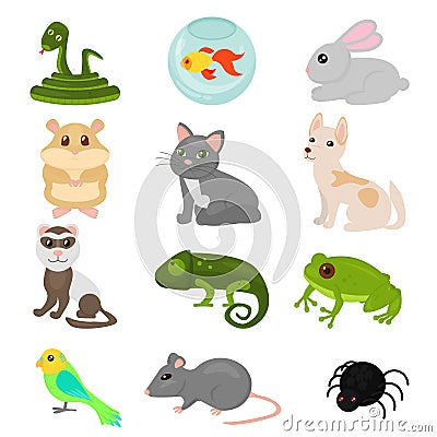 Vector illustration of home pets set isolated on white background, cat dog parrot goldfish, amphibian,hamster, insects Vector Illustration