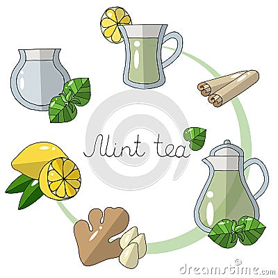 Vector illustration of how to make mint tea Vector Illustration