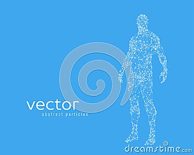 Vector illustration of human body Vector Illustration