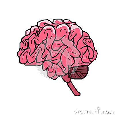Vector illustration of human brain, pink convolutions of the brain Vector Illustration
